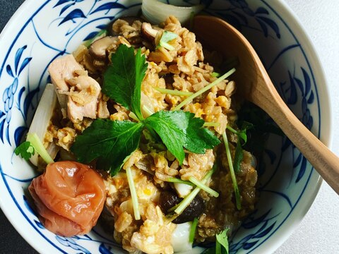 オートミール実験室⭐親子丼